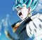 Dragon Ball Heroes